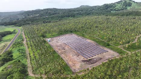 aerial view of a solar farm in a tropical coconut plantation
