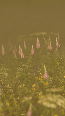 un campo de flores silvestres rosas y amarillas