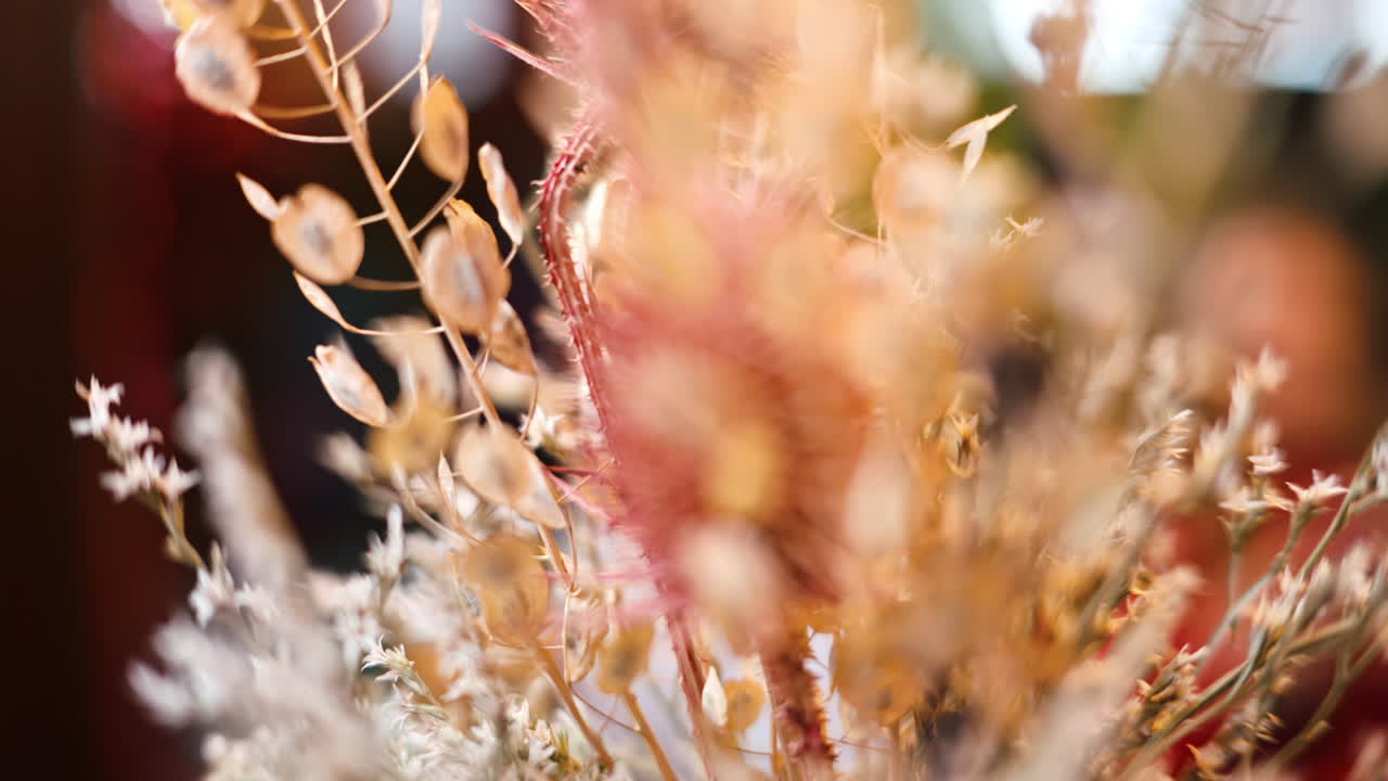Colourful dried plants interior decoration