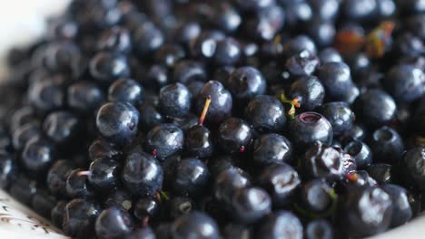 black fruits forest wild berries blueberries wildberries turning round around