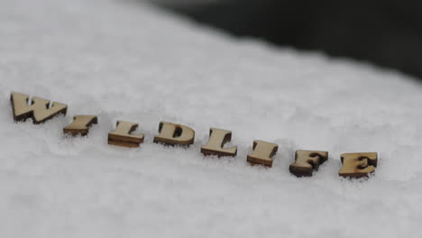 wildlife concept, intro title written with wooden letters in winter snow next to stream of water, panning shot