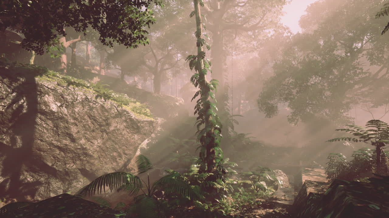 paisaje de la jungla brumosa