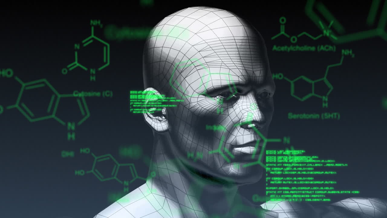 modelo 3d de un ser humano