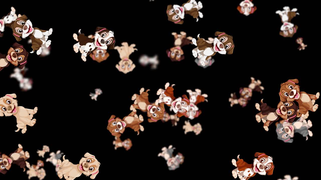 카 개들이 검은 바탕에 떨어지고 있다.