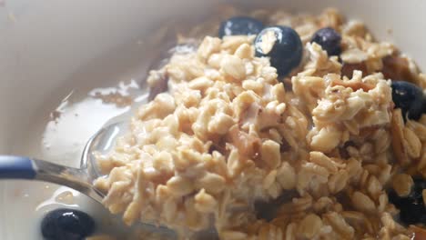 harina de avena con arándanos