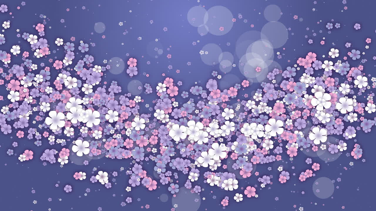 Floral design. Floating colored spring flowers on a blue background. Looped holiday animation.