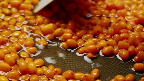 sea buckthorn healthy berries for tea drink, frozen ripe berries in glass jar and branches with leaves top view on dark wooden rustic background, great for skin, heart, vessels and immune system. copy space.