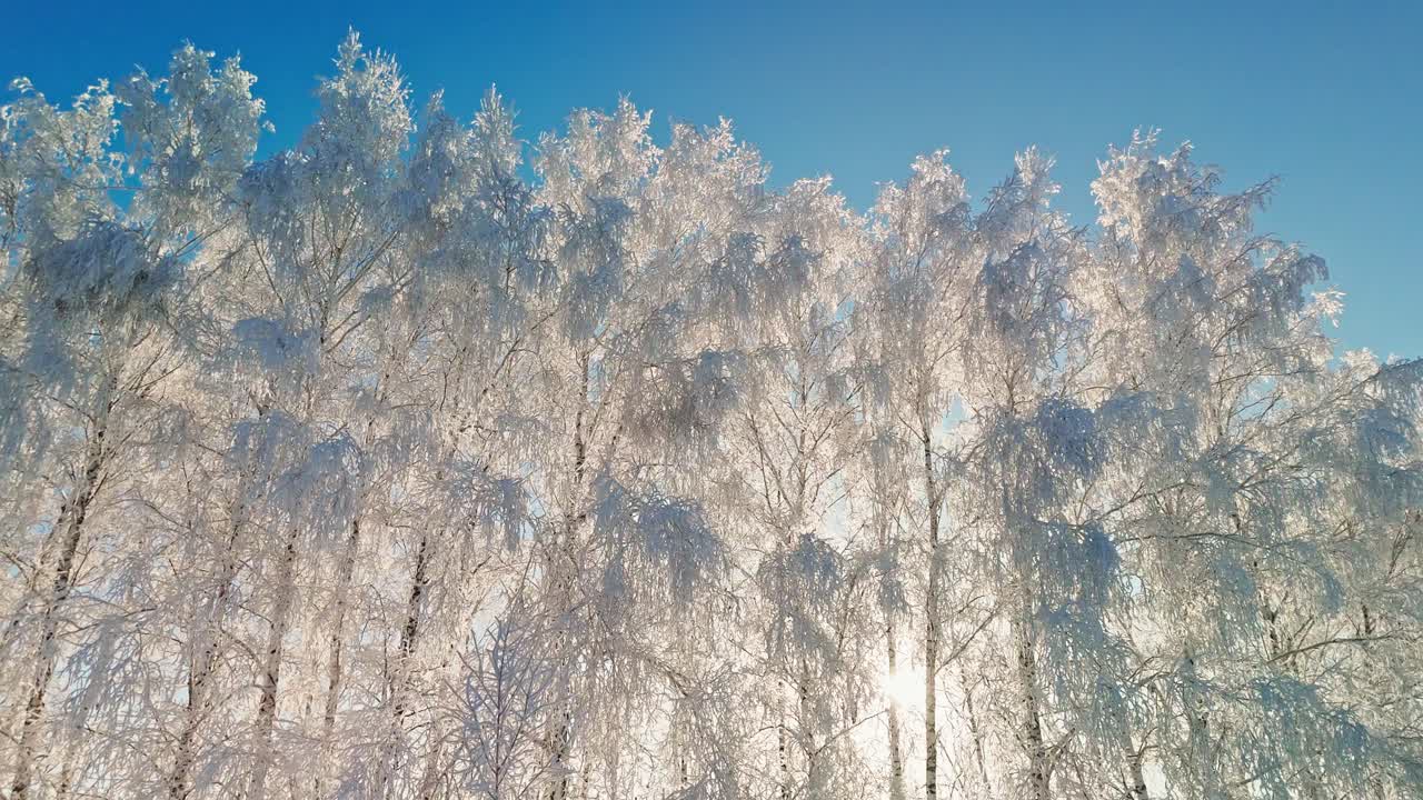 冬の雪景色。