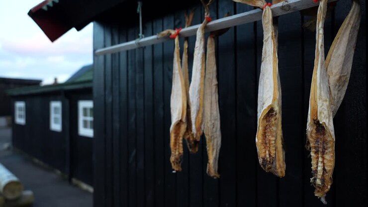 Essiccazione di pesce appeso fuori casa nel villaggio di Gjogv nelle Isole Fær Øer