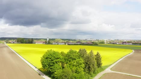 Sanfter-Flug-über-Eine-Baumgruppe-Und-Ein-Wunderschönes-Gelb-Blühendes-Rapsfeld-An-Einem-Hellen-Sommertag