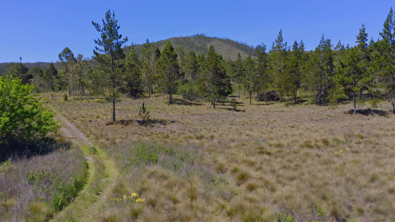 vista aérea de drones hacia adelante sobre constanza entorno natural y hermosos paisajes con montañas en el fondo, república dominicana