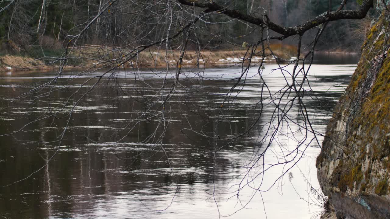 봄의 큰 잔잔한 강