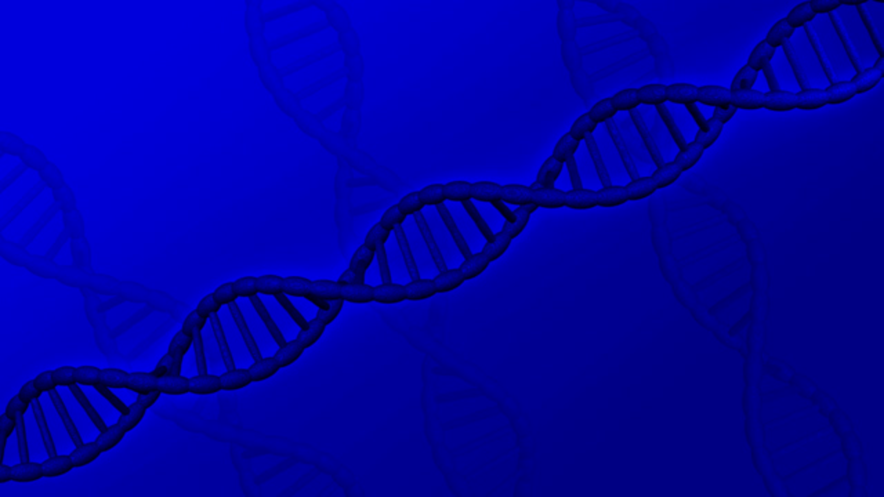 la molécula de adn se vuelve.