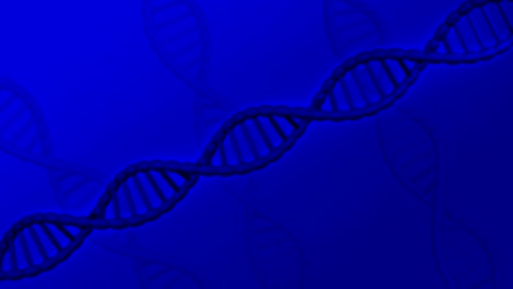 dna molecule turn around.