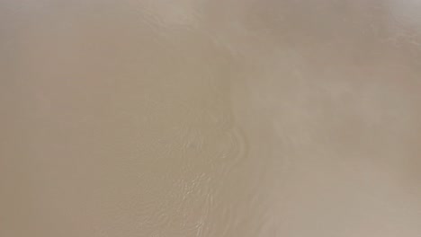 aerial top down shot of a group of hippopotamus in a river in selous, tanzania