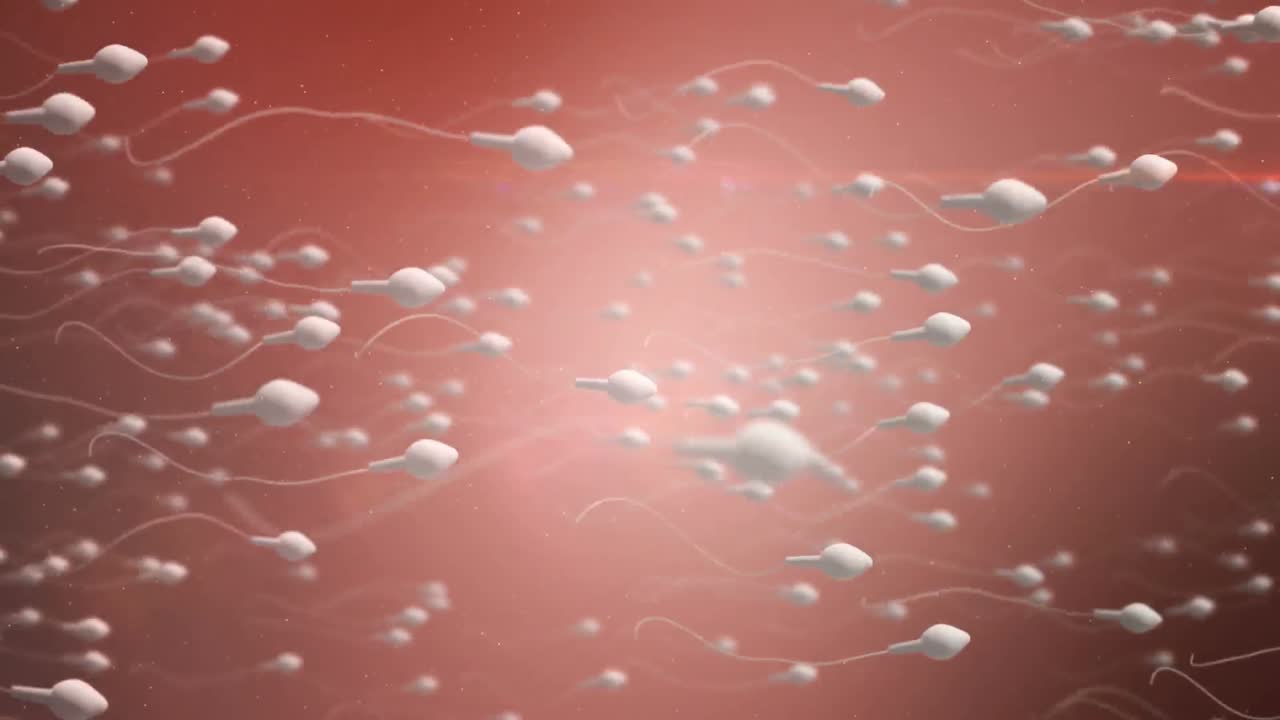 un óvulo en movimiento siendo fertilizado por espermatozoides