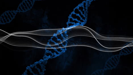 animation of white spots over dna strand