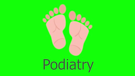 foot podiatry medical concept. human feet anatomy.