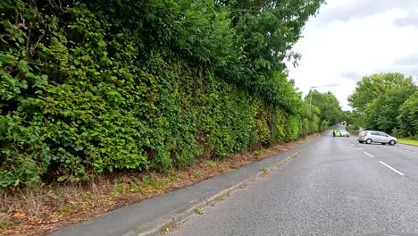 vehicles moving along a tree-lined street