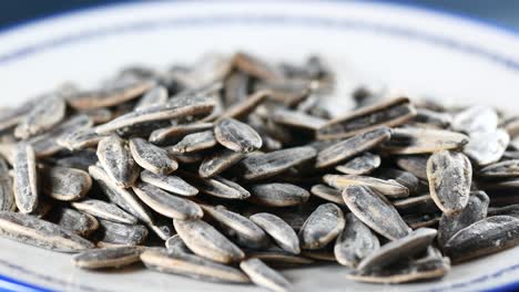 close up of salted sunflower seeds