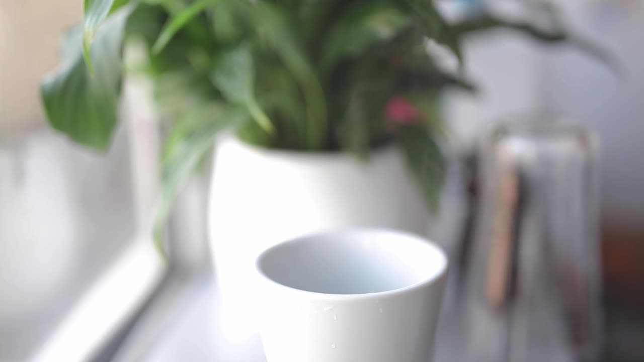Close up serving cup of coffee, plant at the background, kitchen, static shot