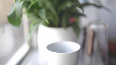 Close up serving cup of coffee, plant at the background, kitchen, static shot