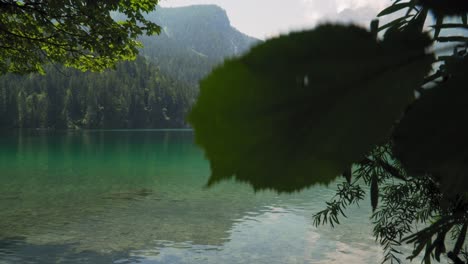 crystal clear water of alpine lake lago di tovel in northern italy