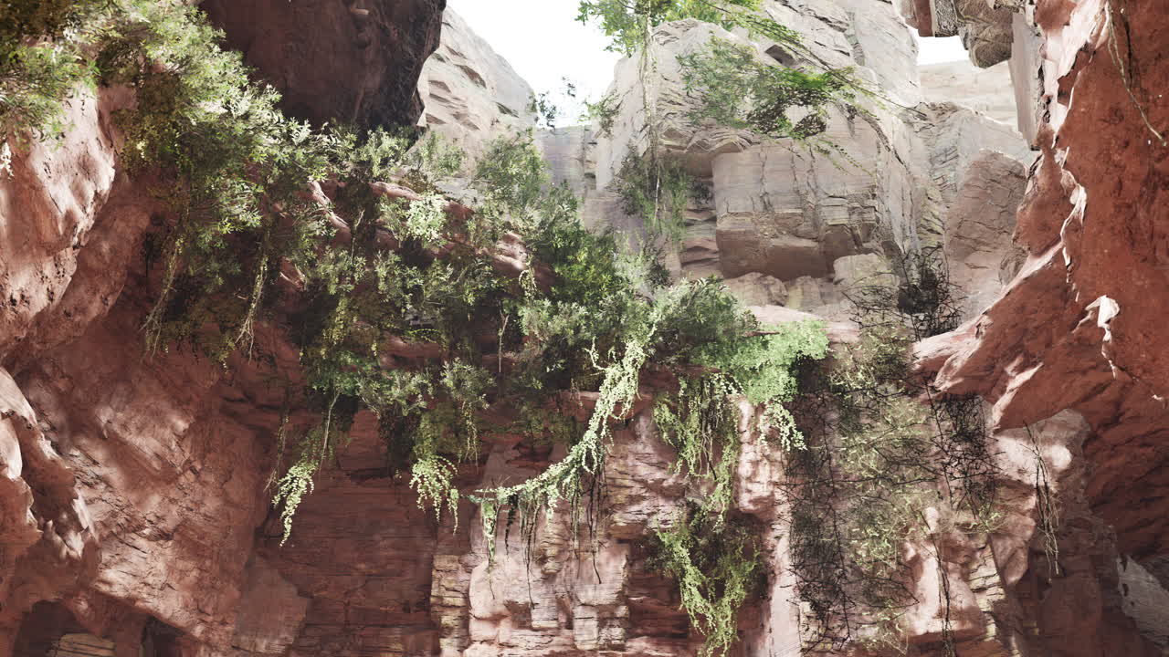una cueva de piedra caliza con plantas y sol dentro