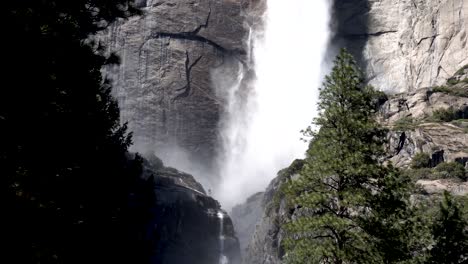 yosemite cae de arriba a abajo vista desde detrás de los árboles, inclinarse hacia abajo revelar disparo