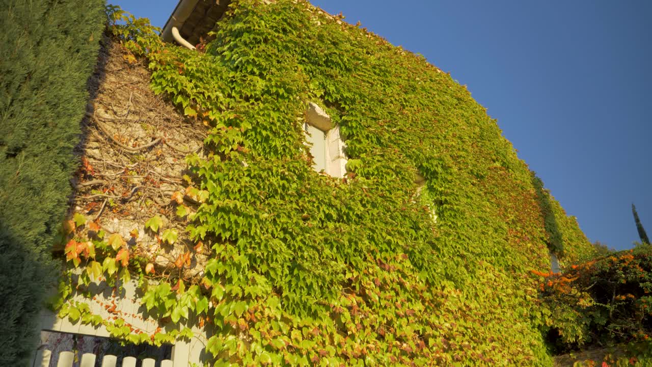 Provencal Village House Covered With Ivy With A Blue Sky in slowmotion in france in countryside