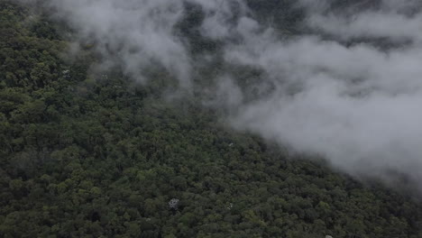 aérea - nubes y niebla sobre el bosque atlántico en río de janeiro, brasil