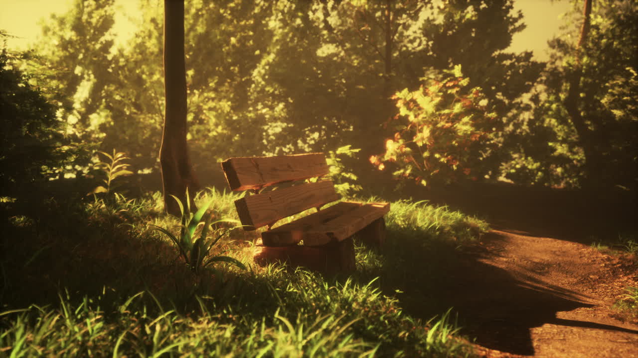 조용한 숲 벤치