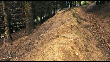 mountain biker riding bicycle in forest