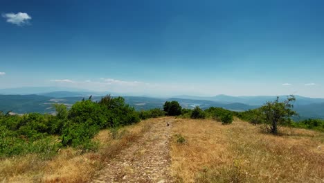 walk in the beautifull sunny day in the top of a mountain