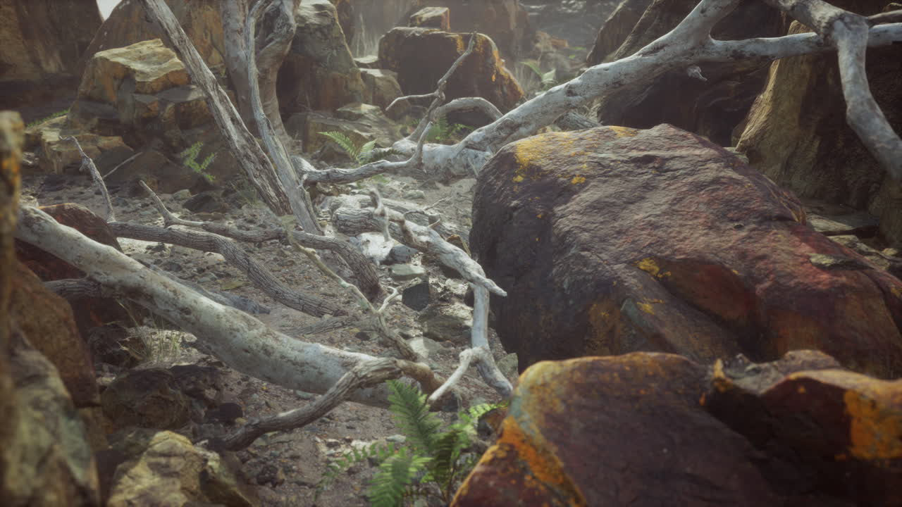 죽은 나무 와 식물 들 이 있는 용암 돌  ⁇