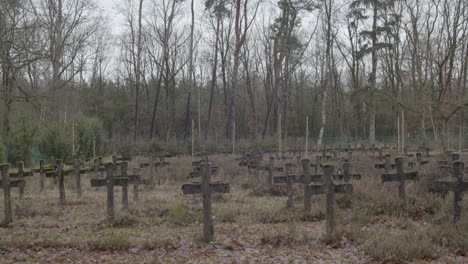 tilt down from tree branches to old cemetery