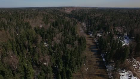 Aerial-spring-season-in-a-forest