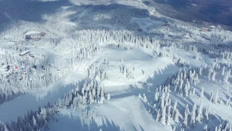 winter scenery of the mountain with evergreen forest covered in snow