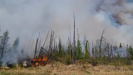 un incendio forestal se descontrola y se extiende rápidamente