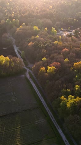 aerial view of forest and fields with people