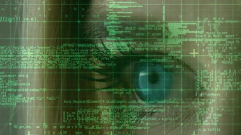 Data processing over grid network against close up view of female eye
