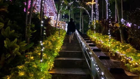 4khd christmas 2020 botanical garden okinawa japan-20