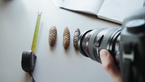 Top-Down-View-of-DSLR-Capturing-Different-Sizes-of-Acorns-in-Lab