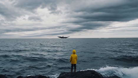 observing majestic whales in the vast ocean