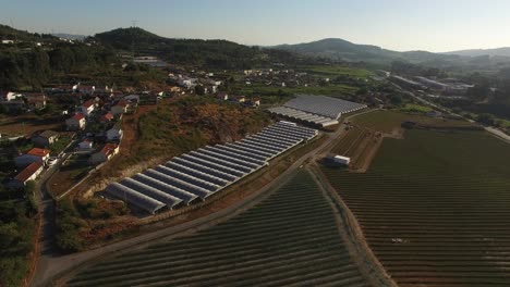 Toma-Aérea-De-Invernaderos-Industriales-Y-Campos-Agrícolas.