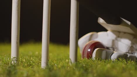 cricket still life with close up of bat ball and gloves lying in grass behind stumps 2