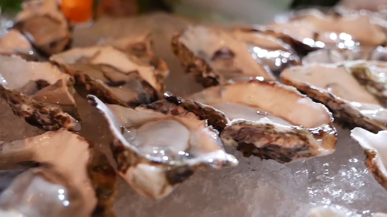 얼음에 절반 껍질 디스플레이에 신선한 생 굴, 클로즈업-1