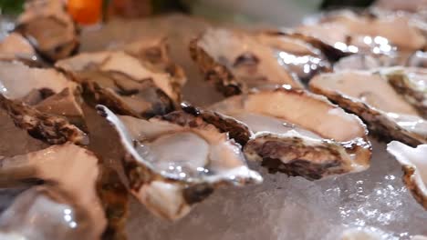 fresh raw oyster in half shell display on ice, close up-1