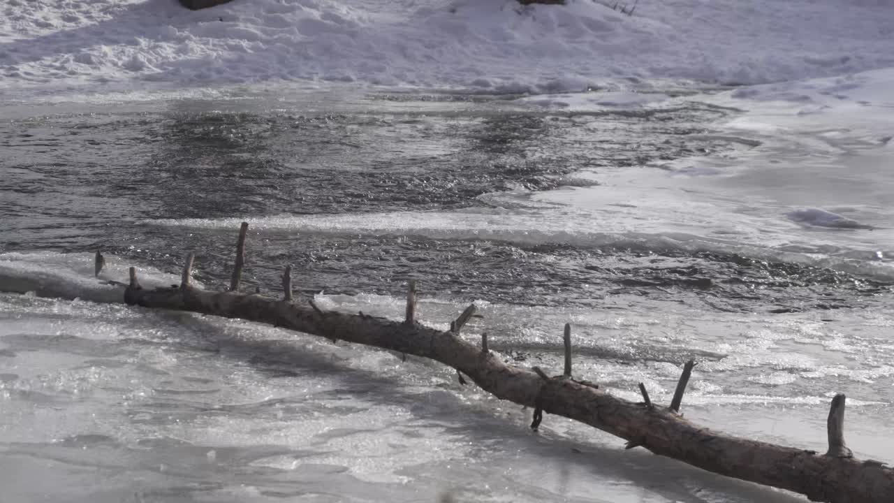 캐나다의 부분적으로 얼어붙은 강의 얼음  ⁇ 에서 물이 흐릅니다.