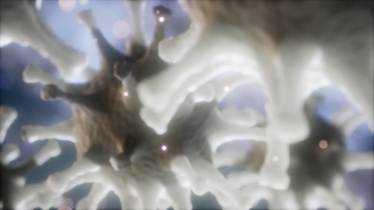 코로나 바이러스 ncov 호흡기 바이러스 개념